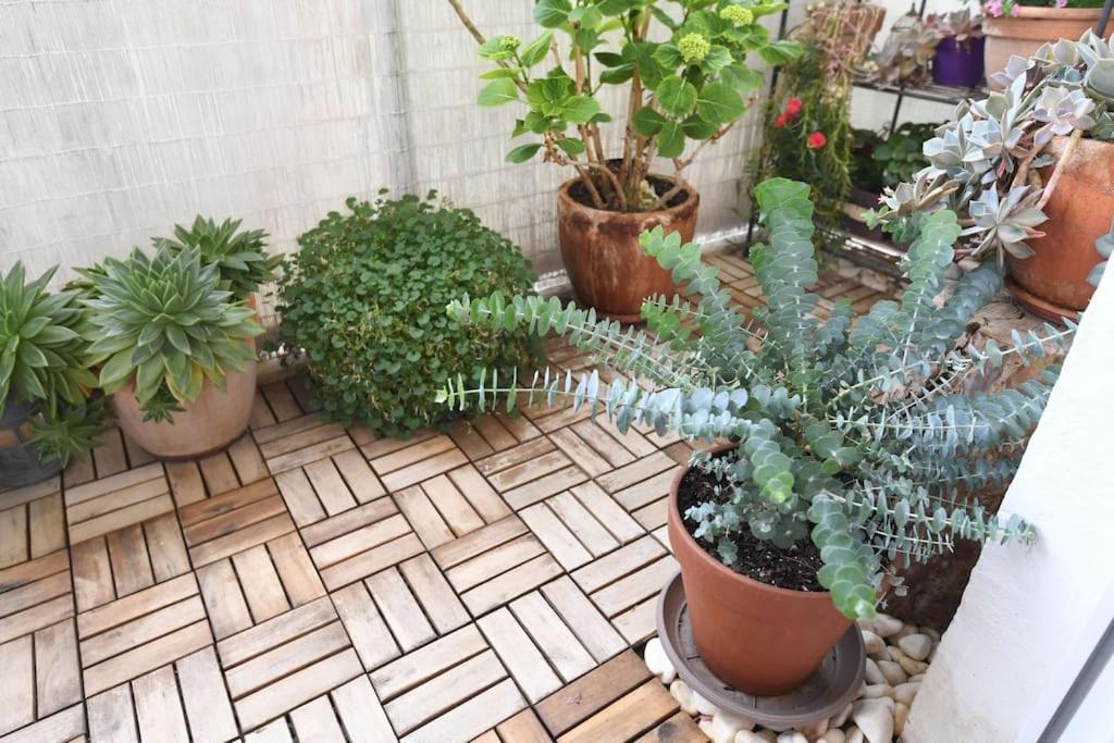 Apartman Ilijana Zadar Buitenkant foto