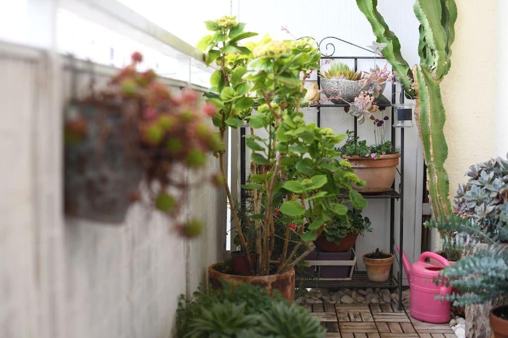 Apartman Ilijana Zadar Buitenkant foto